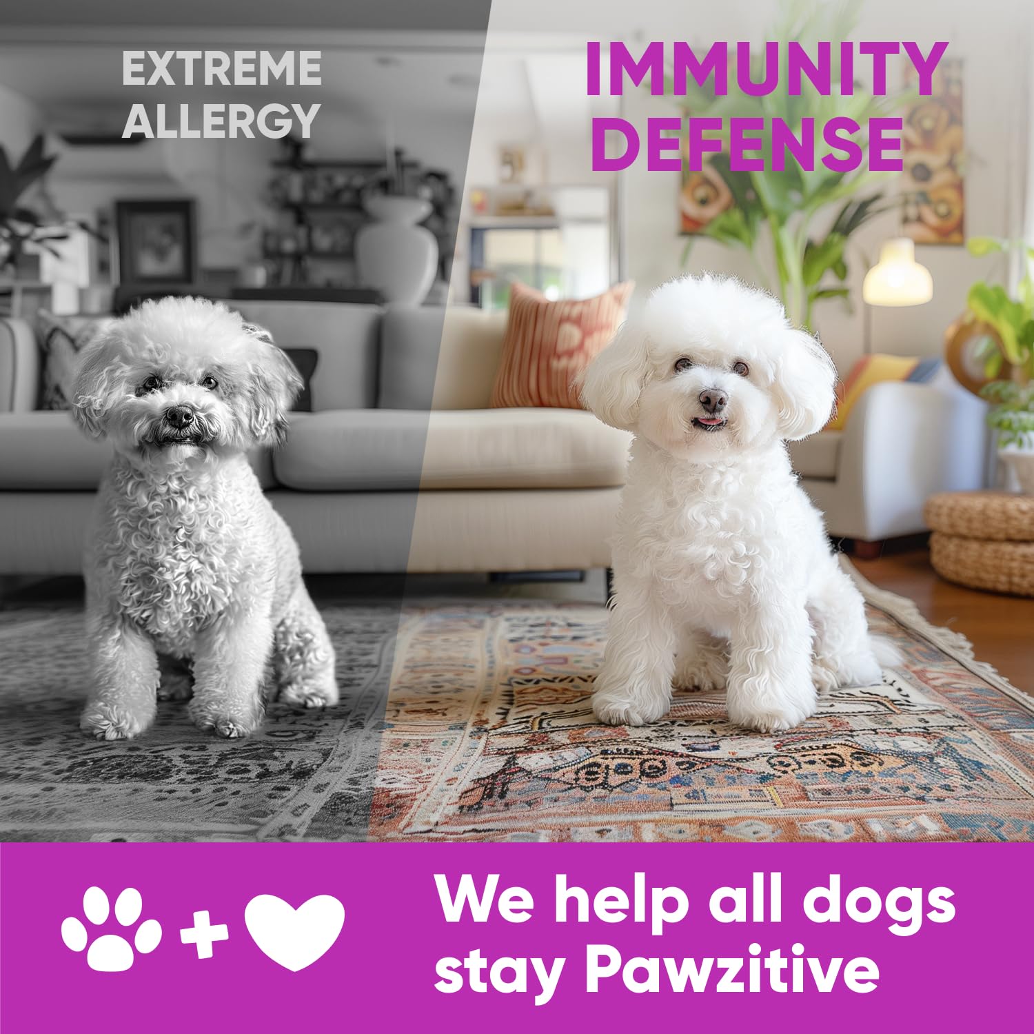 Pawzitive Pets Usage Quotidien Confort: faciles a integrer a la routine.