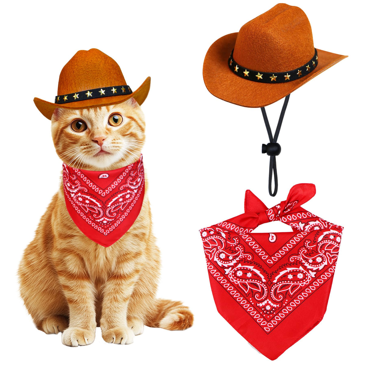 PAYHTOW chapeau cowboy en feutre épais pour animaux, garde sa forme.