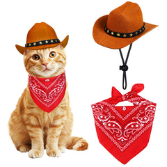 PAYHTOW chapeau cowboy en feutre épais pour animaux, garde sa forme.