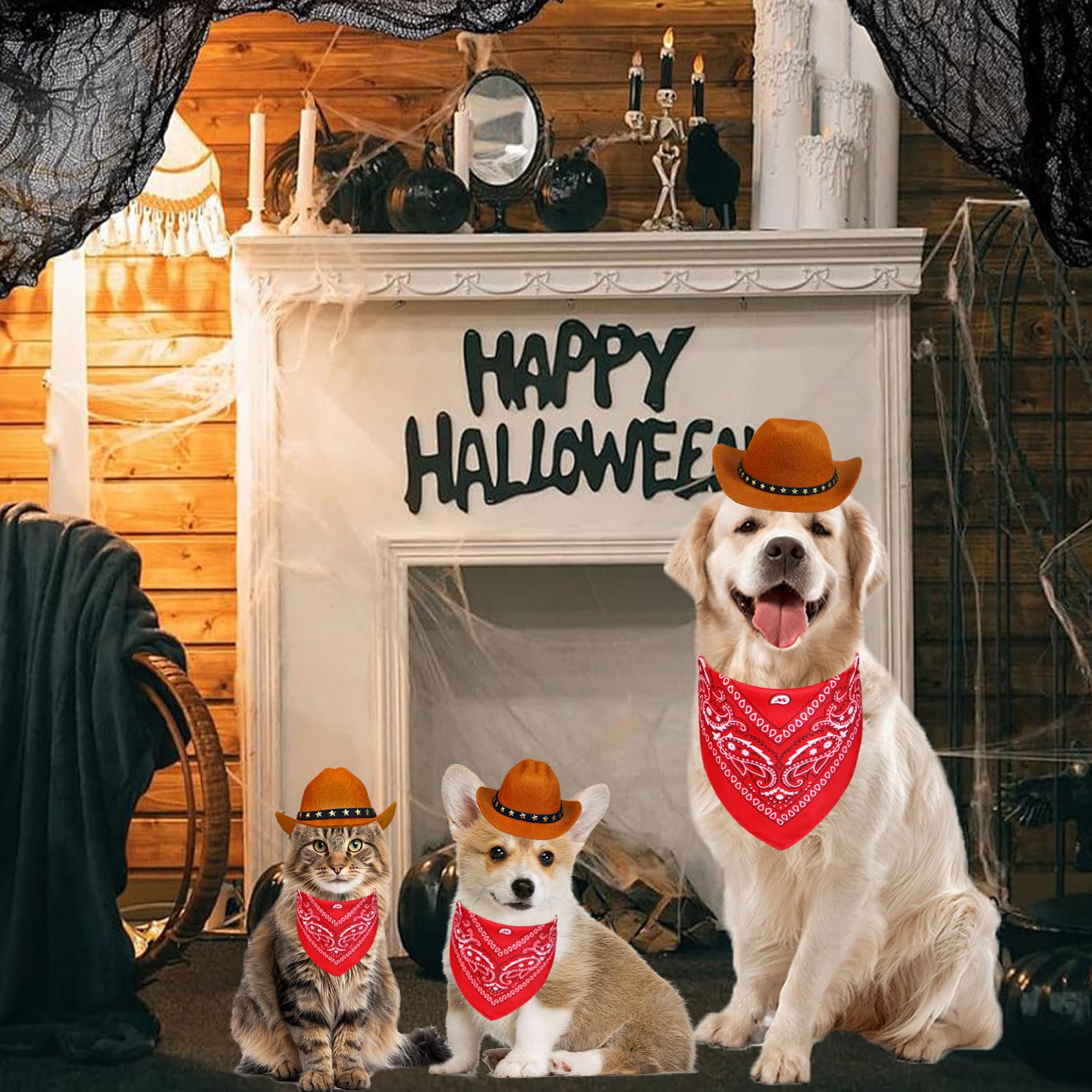 PAYHTOW tenue polyvalente pour Halloween, fêtes à thème et séances photos.