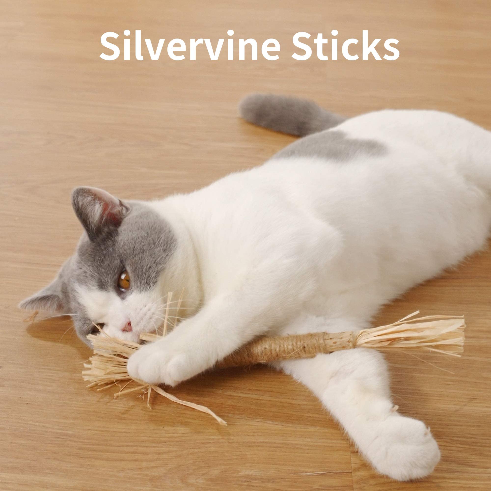 PAZ'S GIFT texture Raffia : expérience tactile enrichissante pour chat.