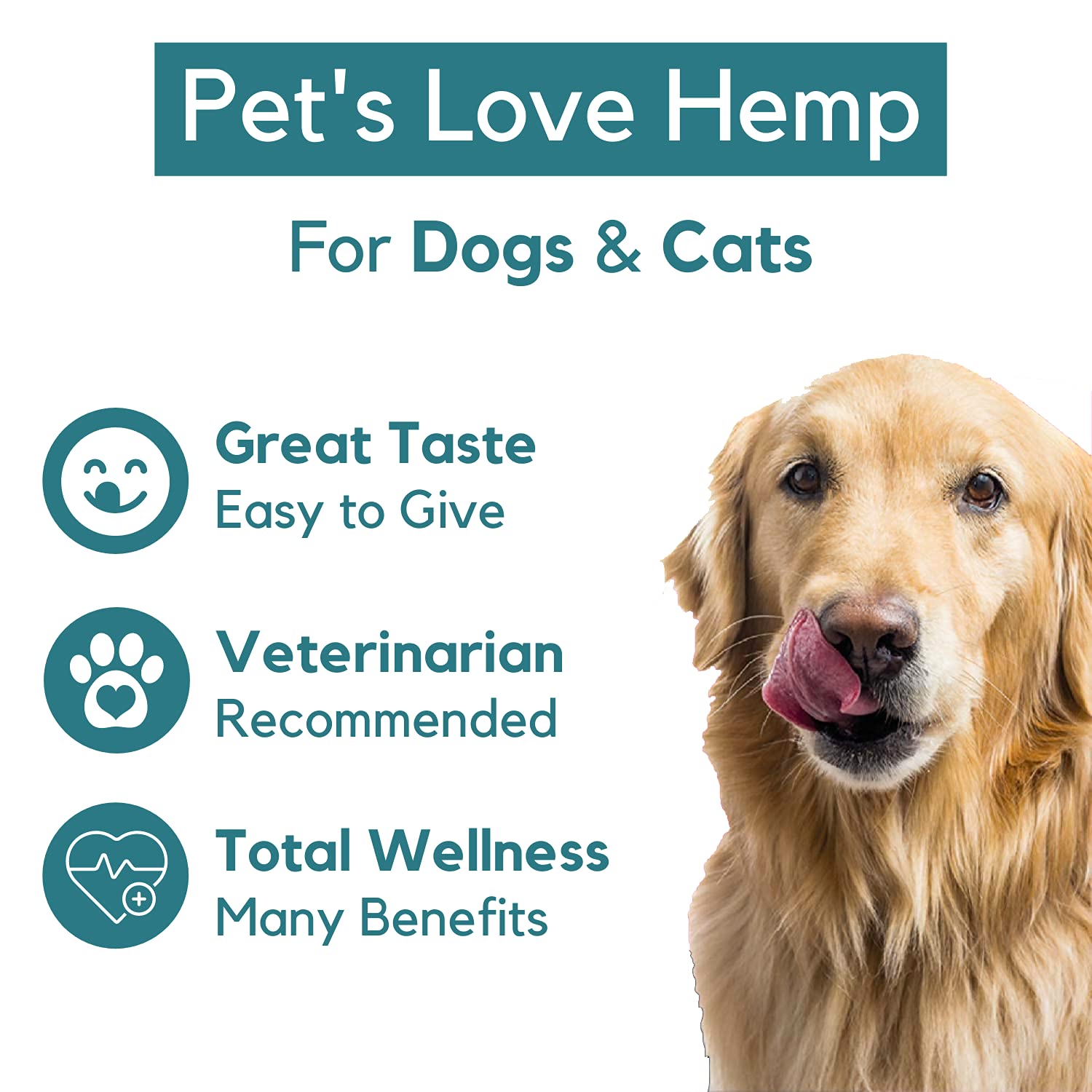 PB Pets huile de chanvre – routine quotidienne apaisante