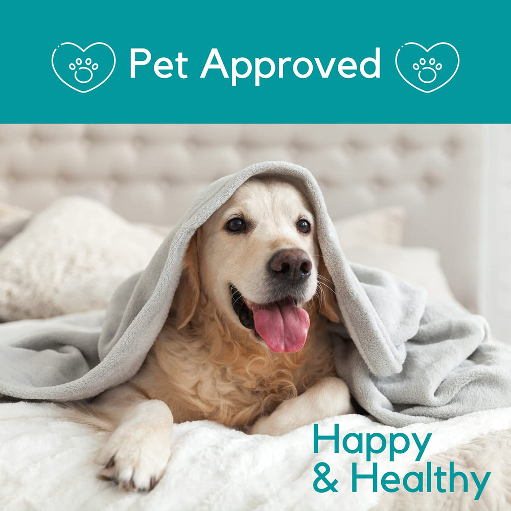 PB Pets huile de chanvre – utilisation sur aliments et friandises