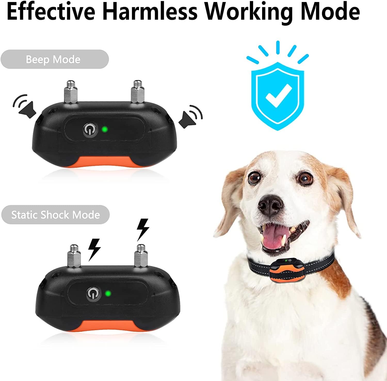PcEoTllar collier chien reglable: confort et ajustement sur mesure.