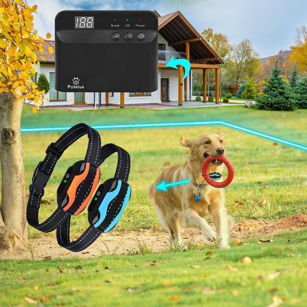 PcEoTllar système bordure pour deux chiens: protection adaptée.