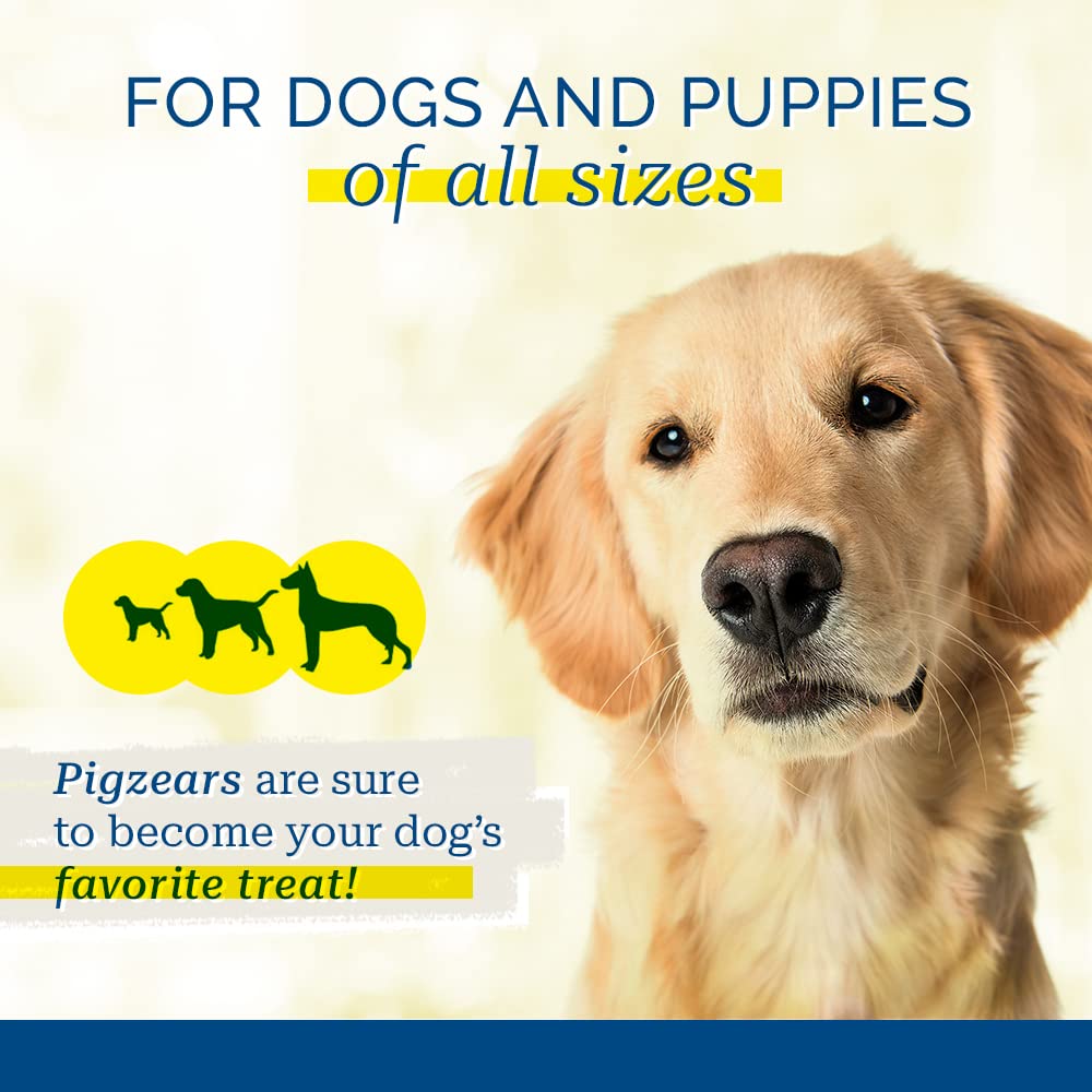 PCI Pigearz 20ct Naturel – mastications intenses adaptées aux chiens robustes.