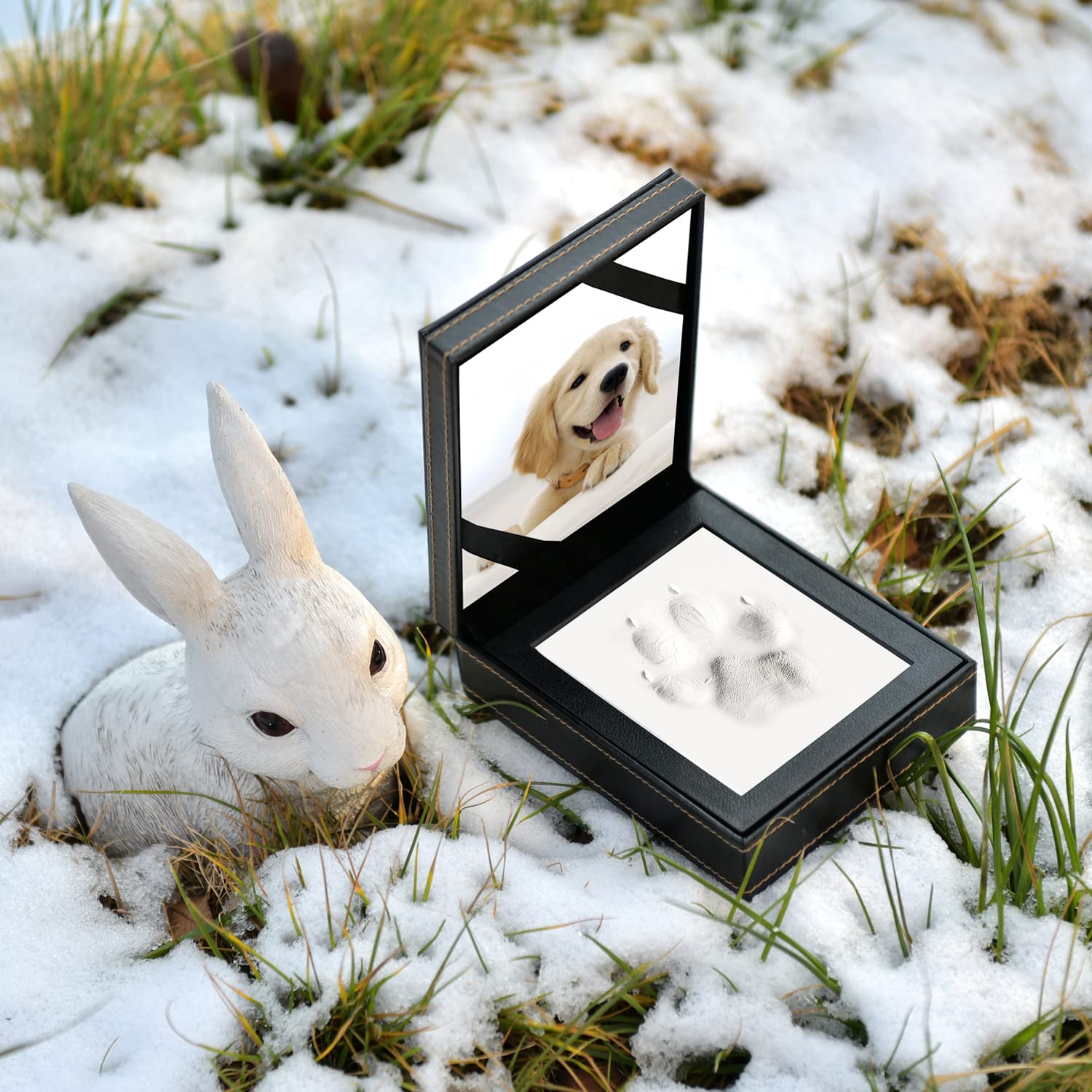 PCS Paw Print Kit, séchage en 48 heures pour empreinte durable prête à exposer.