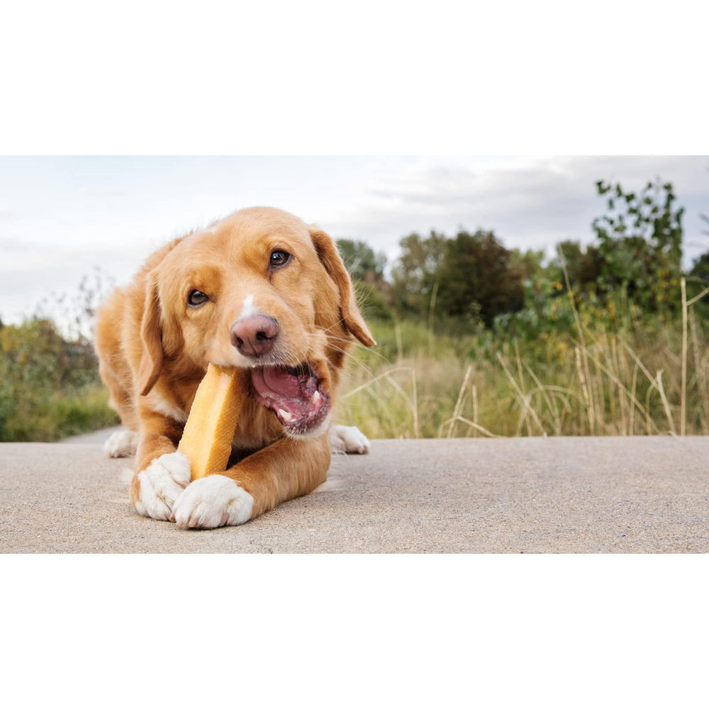 PeaksNpaws digestion-facile-pour-chien: formule facile à digérer pour estomacs sensibles.