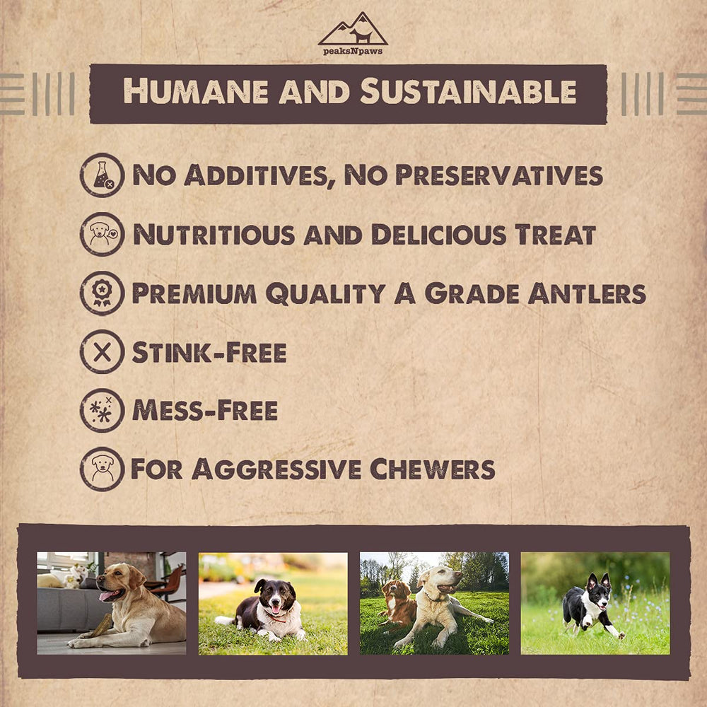 peaksNpaws ramure de cerf arôme naturel, agréable pour les chiens