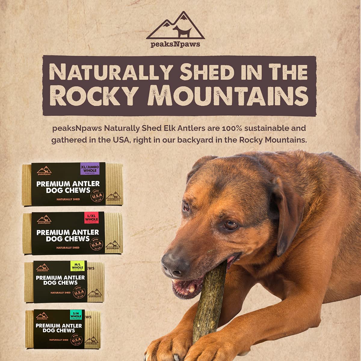 peaksNpaws ramures d’élan en morceaux dur pour mâcheurs forts.
