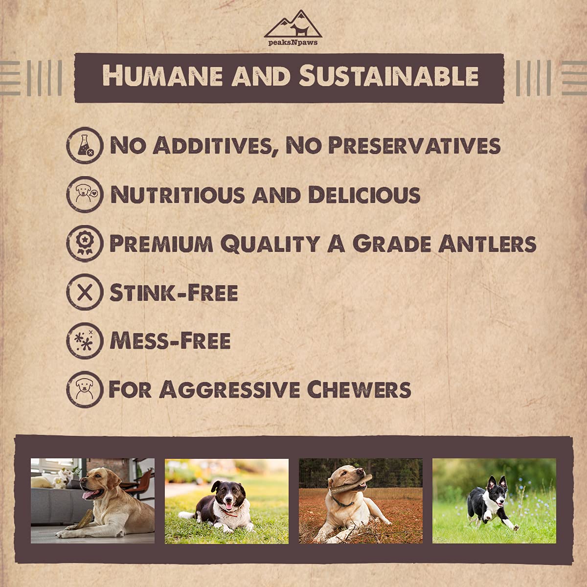 peaksNpaws ramures d’élan faible odeur, expérience propre pour la maison.
