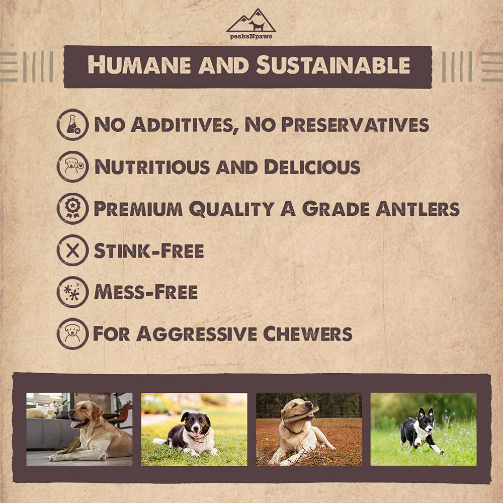 peaksNpaws ramures d’élan faible odeur, expérience propre pour la maison.