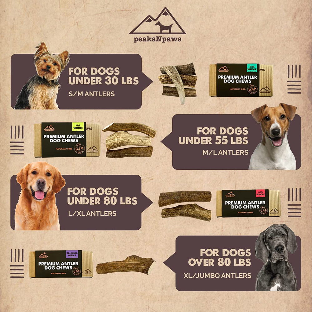 peaksNpaws ramures d’élan récoltées aux États‑Unis, qualité locale et fiable.