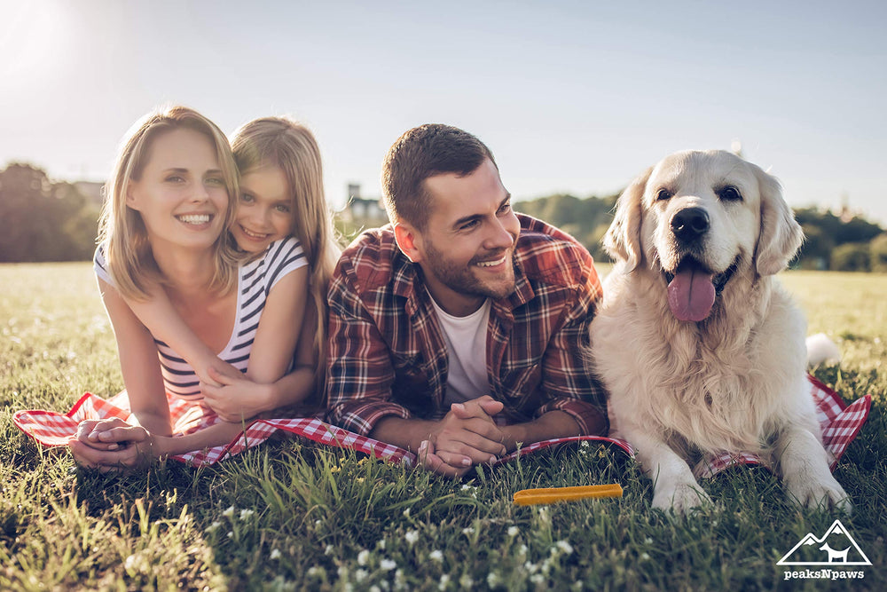 PeaksNpaws Yak Chews – morceaux durables pour occuper les chiens pendant des heures.