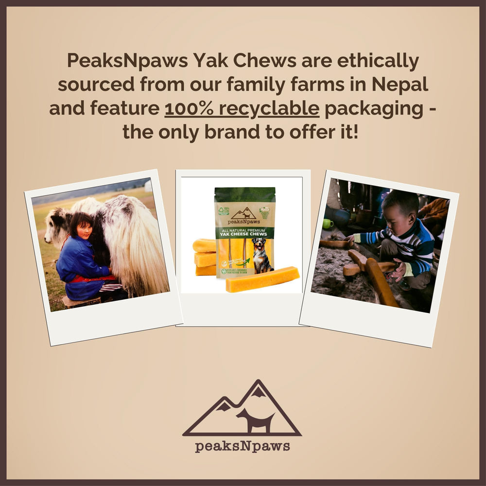 PeaksNpaws Yak Chews – texture légère, sans lactose, idéale après le jeu.