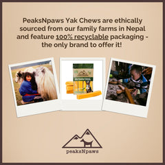 PeaksNpaws Yak Chews – texture légère, sans lactose, idéale après le jeu.