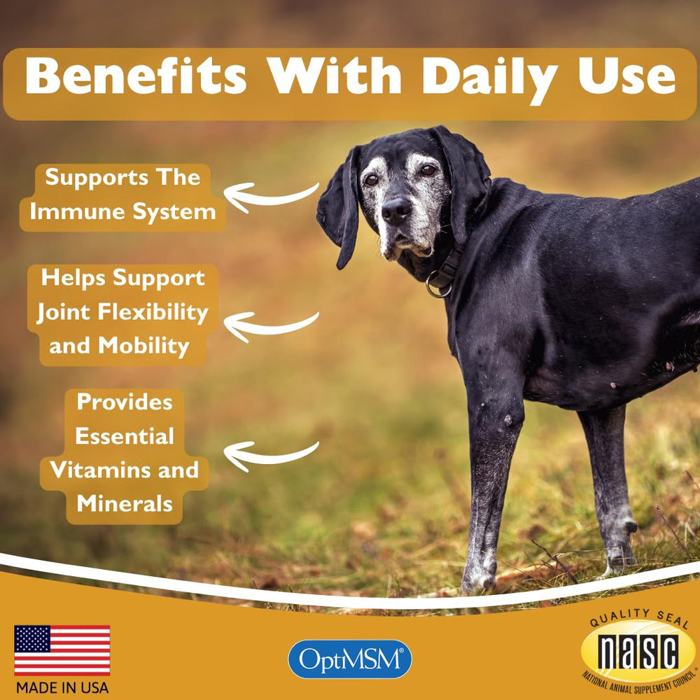 PeakTails Senior Multivitamin pour chien — soutien potentiel des articulations au quotidien.