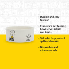 Peanuts bords hauts, gamelle chien réduisant les éclaboussures