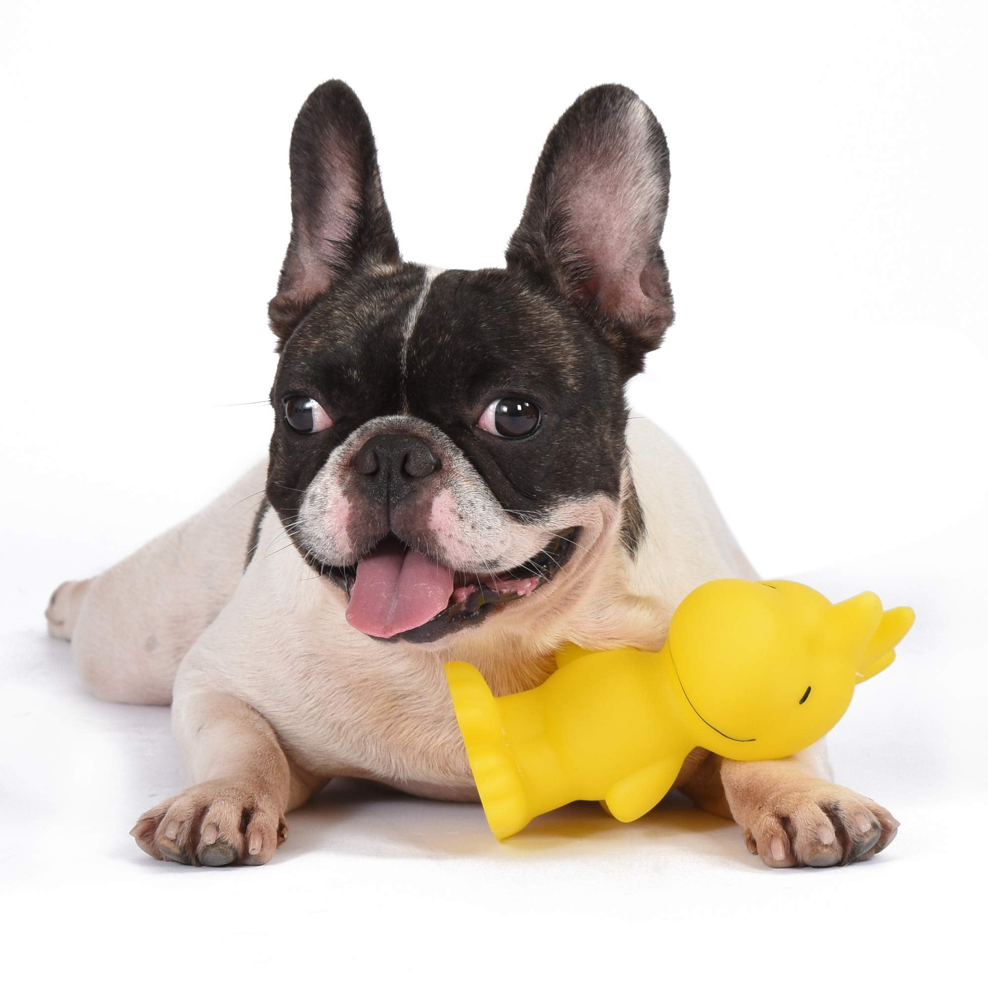 Charlie Brown jaune, jouet Peanuts pour chien, design emblématique.