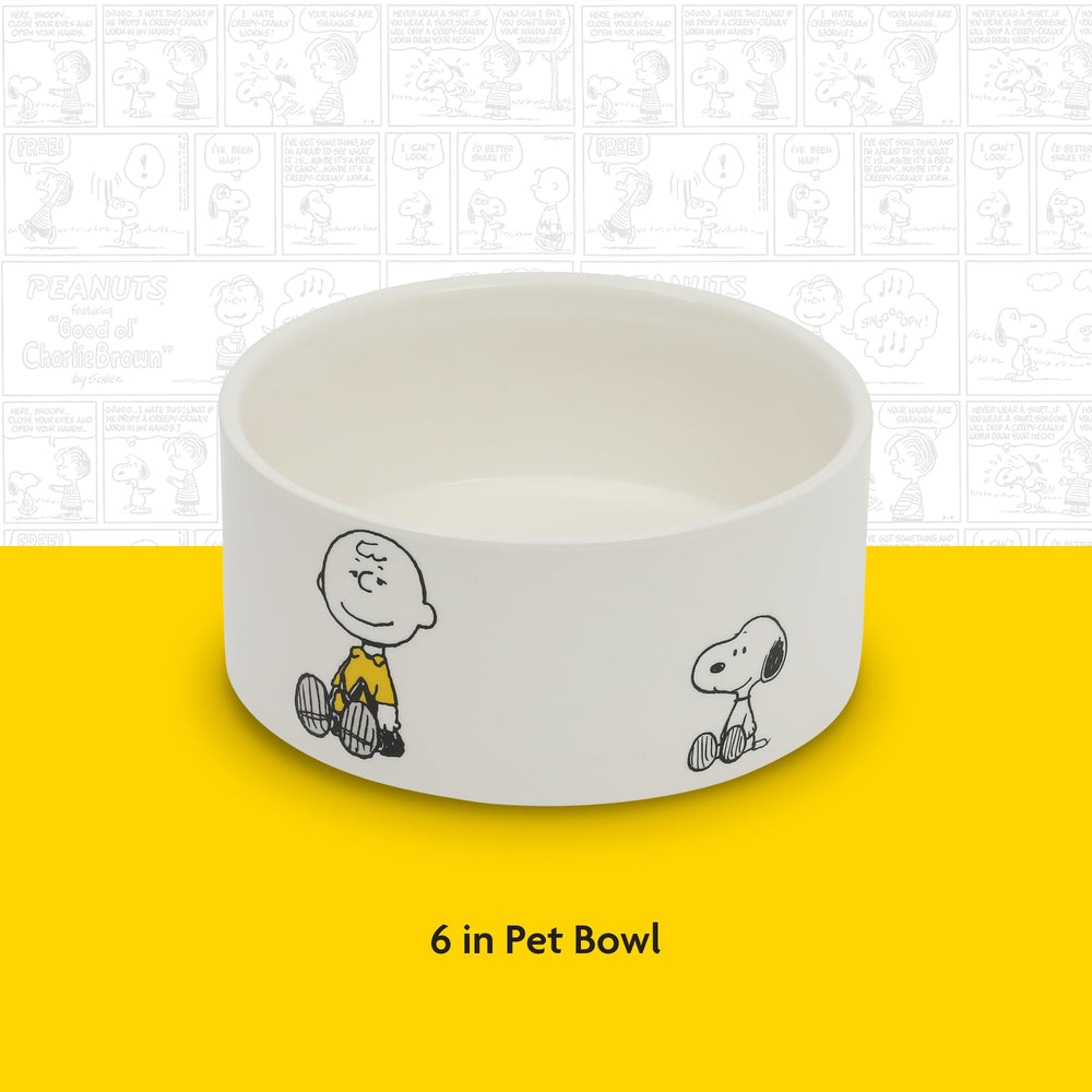 Peanuts design collection, gamelle pierre robuste pour repas quotidiens