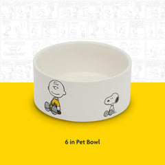 Peanuts design collection, gamelle pierre robuste pour repas quotidiens