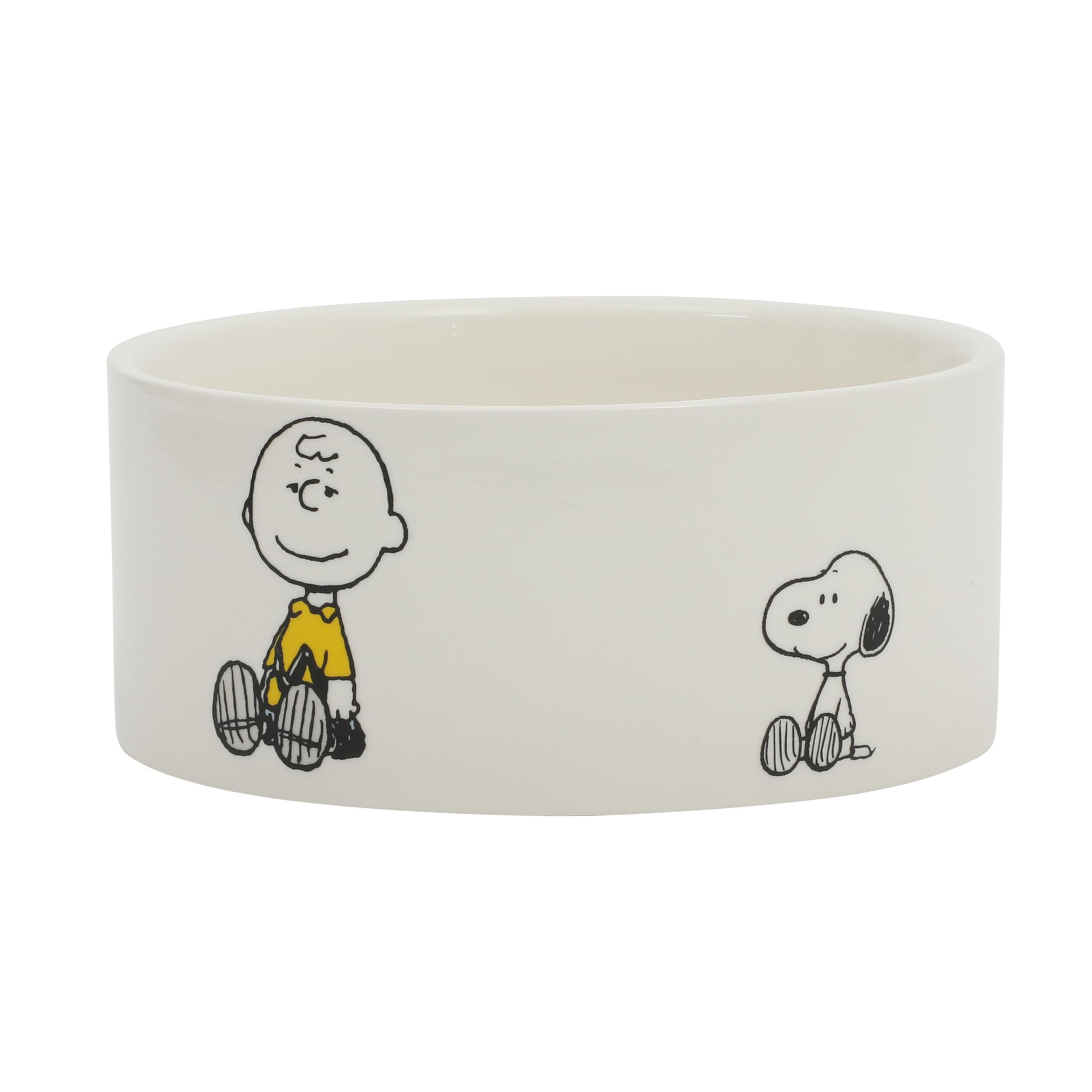 Peanuts Snoopy et Charlie Brown, gamelle pierre avec design Snoopy et Charlie Brown, repas propres