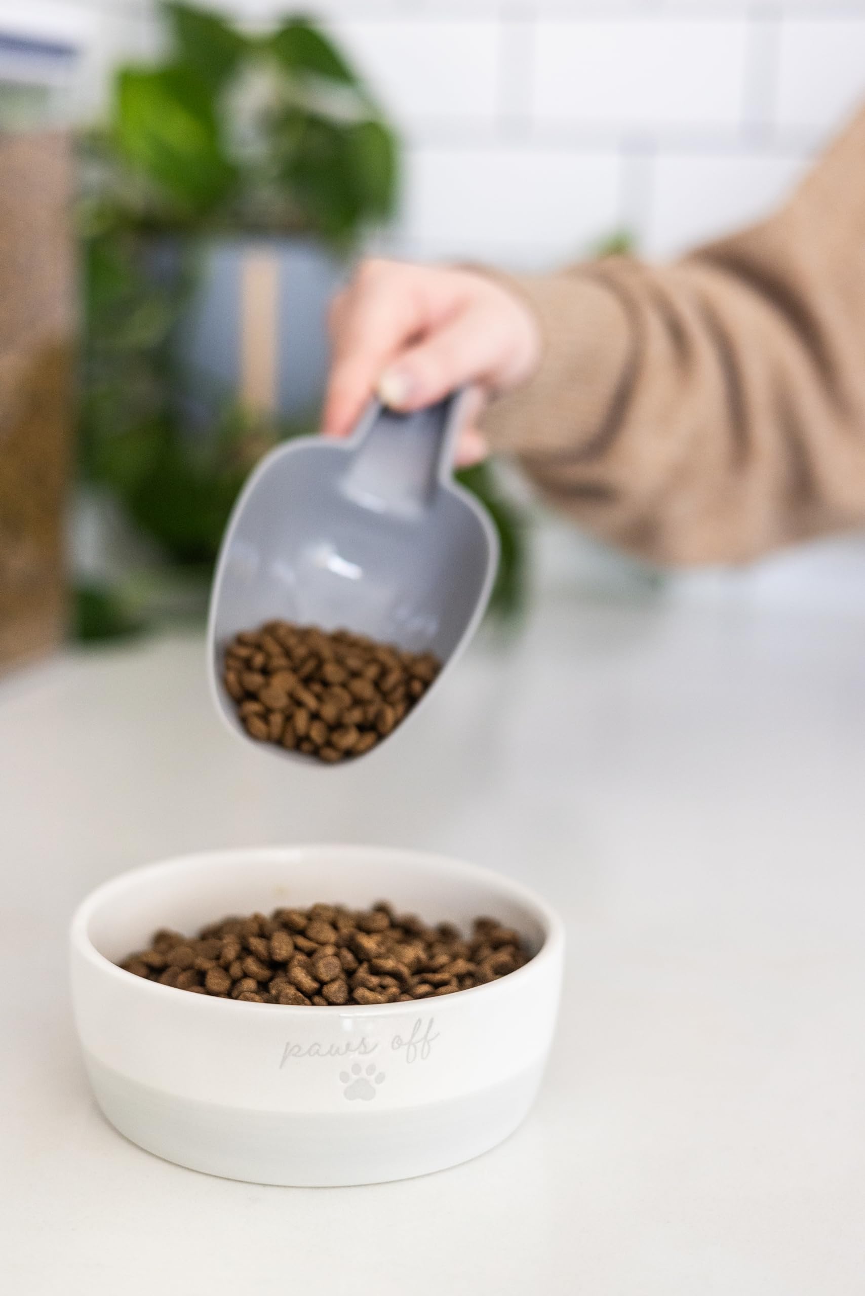 Pearhead, idée cadeau idéale pour propriétaires de chats.