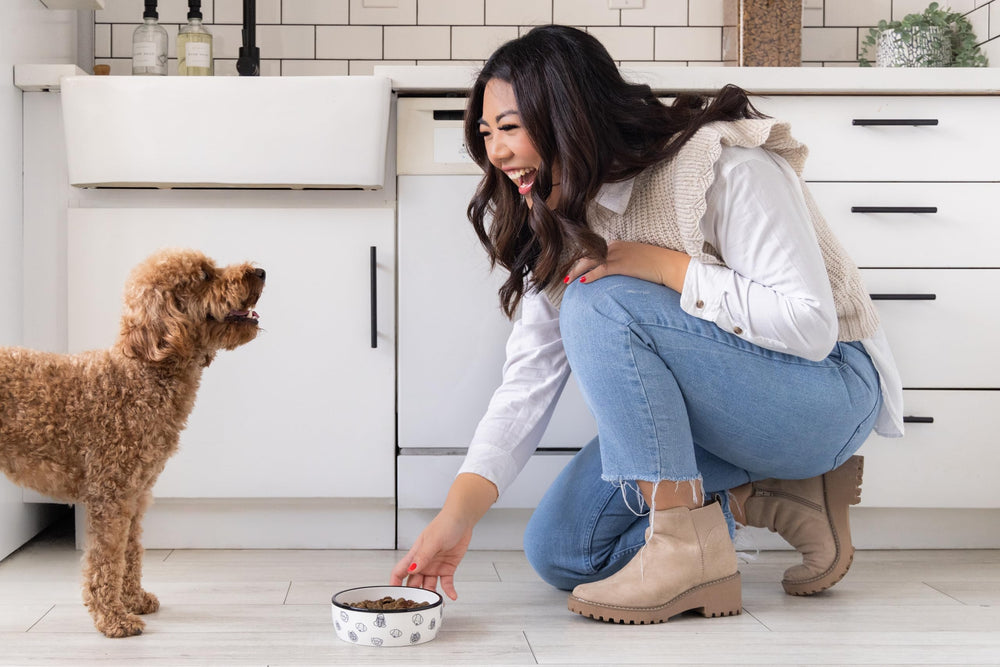 Pearhead assiette chien bord noir détail – touche moderne et chic
