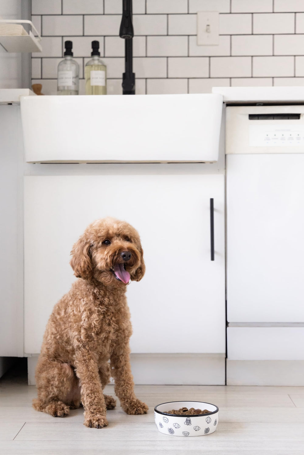 Pearhead assiette chien motif neutre – convient à tout style intérieur