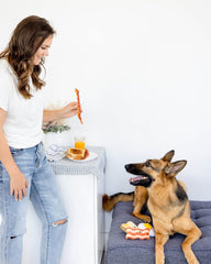 Pearhead Barkfast bacon-qui-crisse, jouet pour chien, bruit amusant.