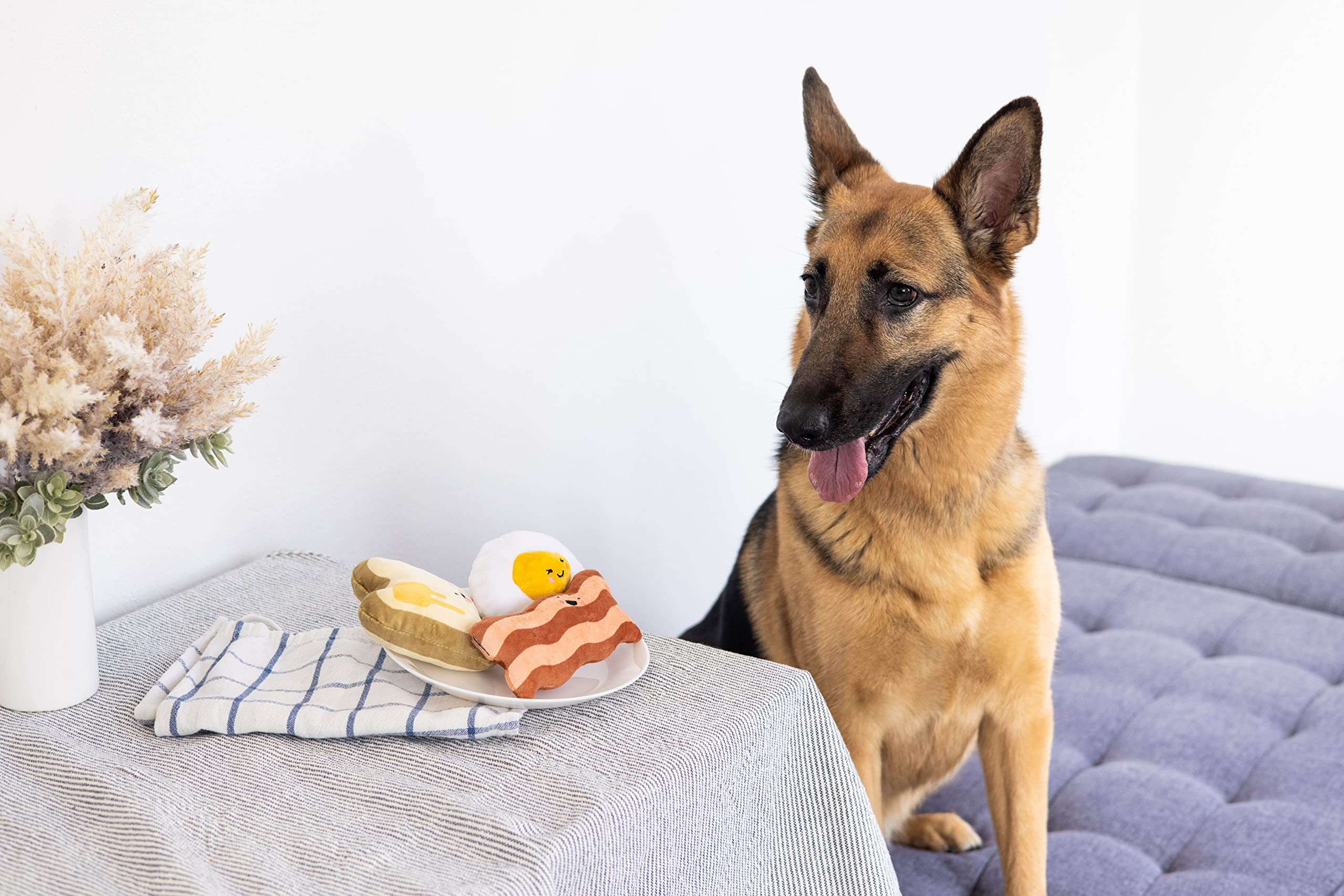 Pearhead Barkfast œuf au plat, ensemble de jouets pour chien actif.