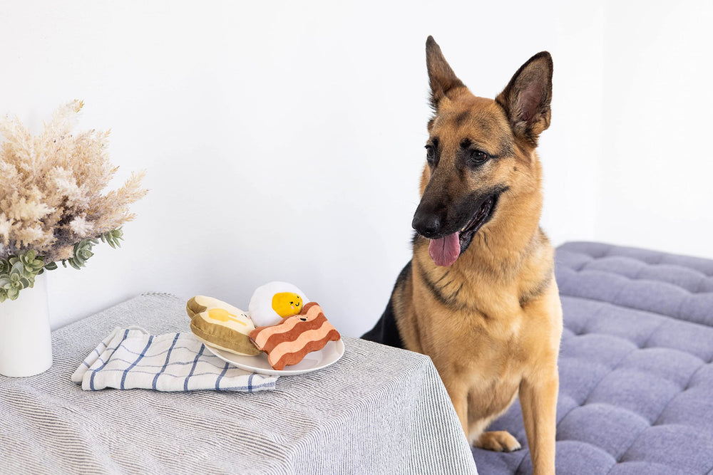 Pearhead Barkfast œuf au plat, ensemble de jouets pour chien actif.