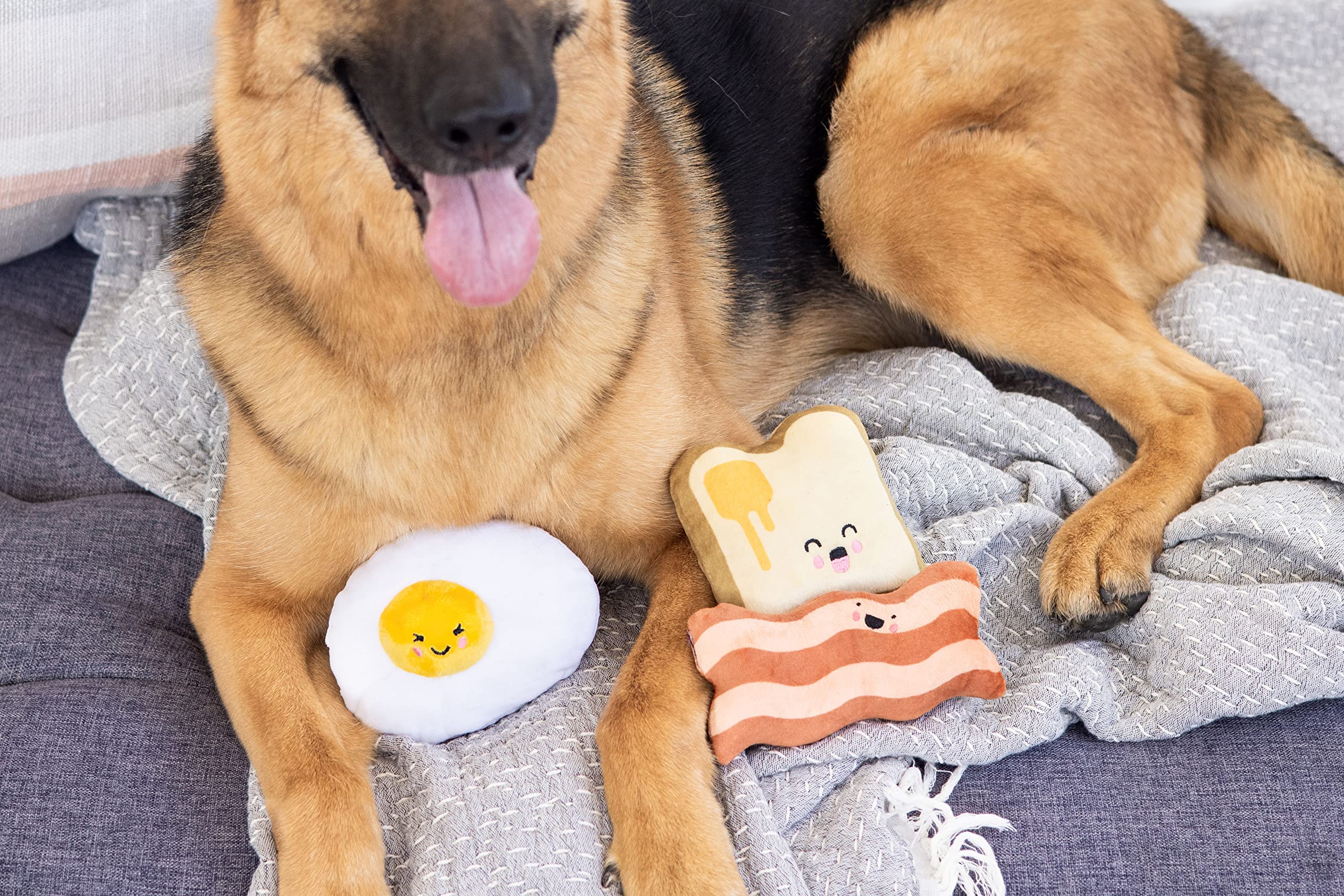 Pearhead Barkfast toast-beurre interactif, réconfortant pour chien.