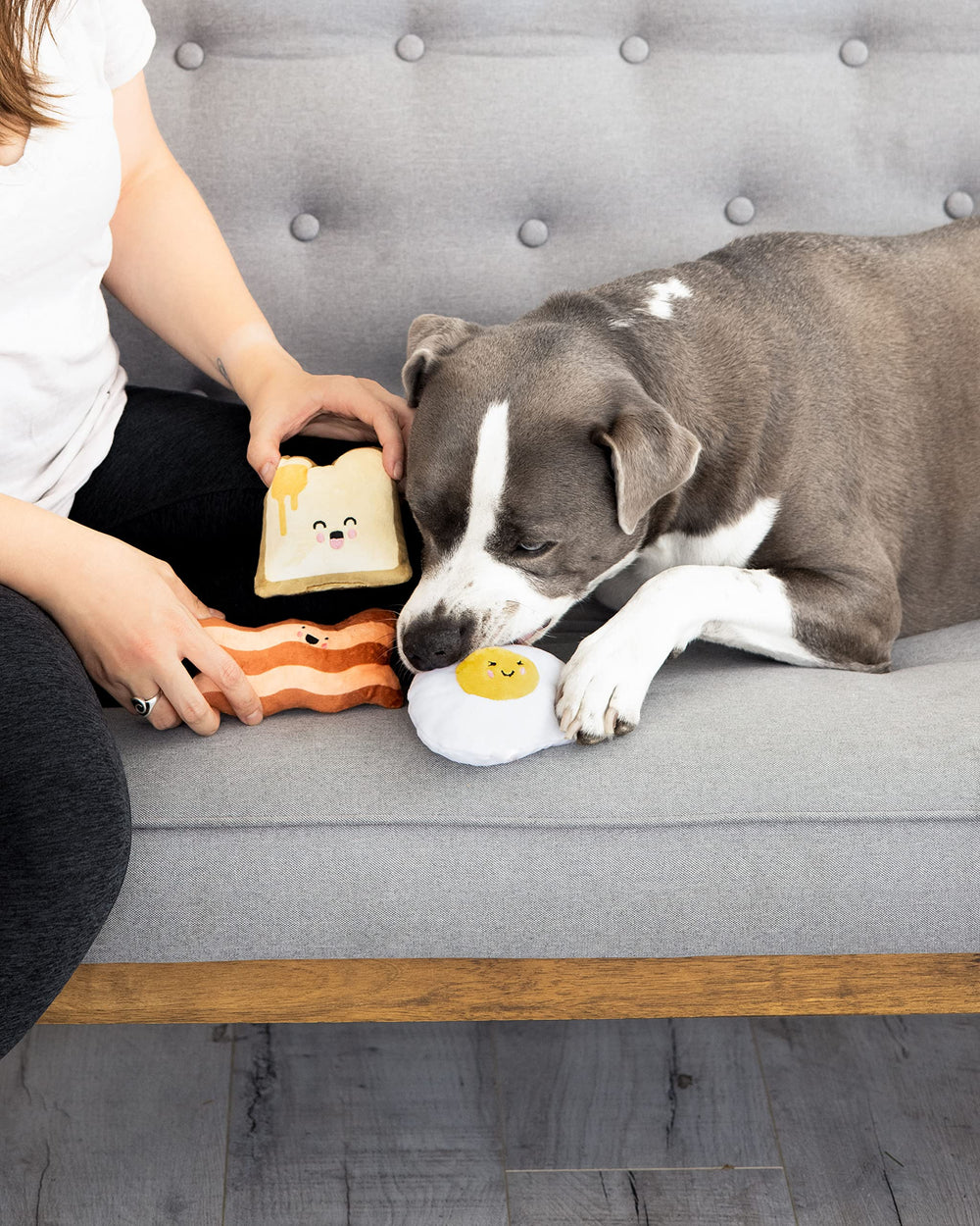 Pearhead Barkfast toast-beurre interactif, divertissement durable pour chien.