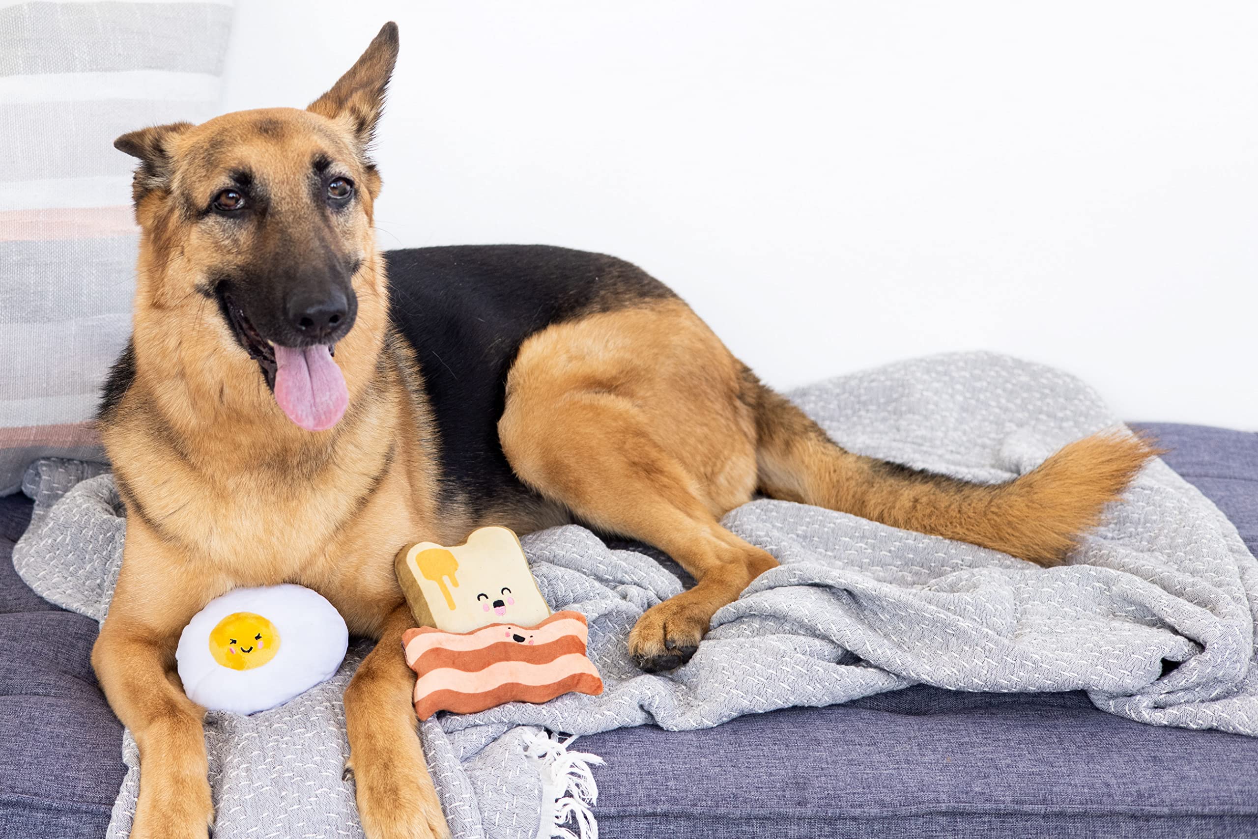 Pearhead Barkfast toast-beurre, jouet pour chien, moment interactif.