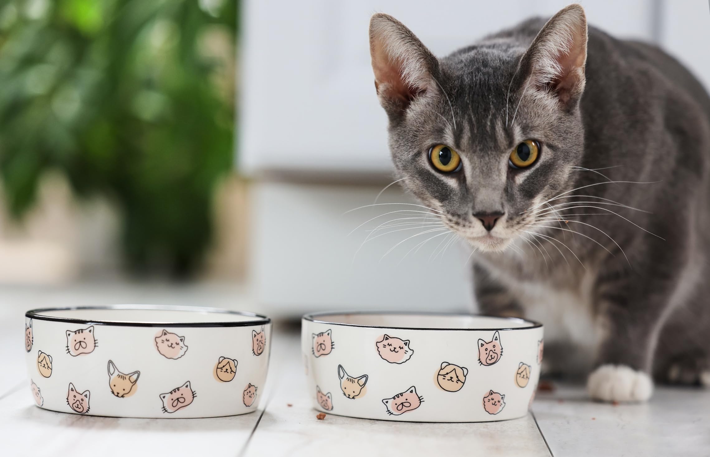 Pearhead bol chat céramique, base stable pour chats actifs.