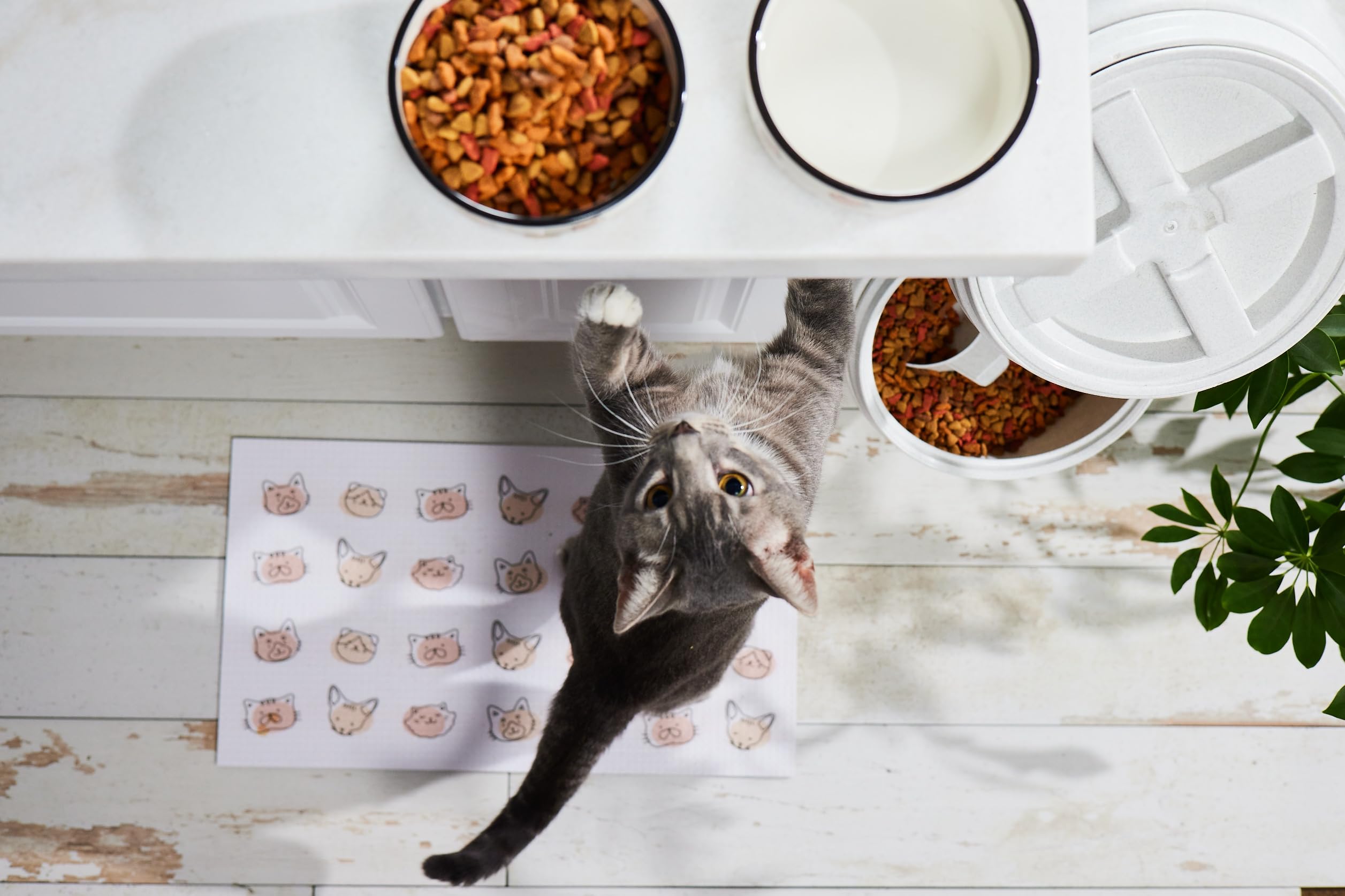 Pearhead bol chat céramique, usage quotidien pour nourriture, eau ou friandises.