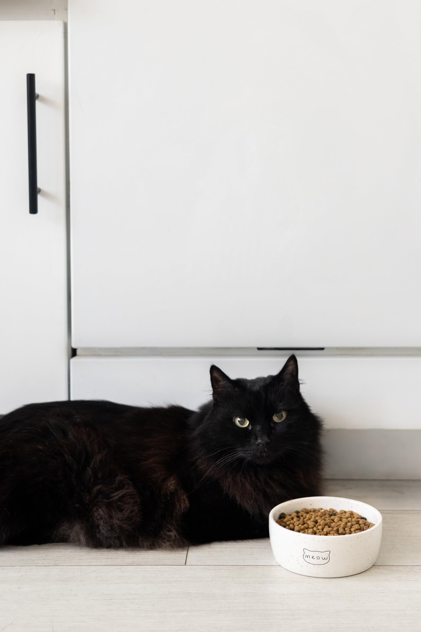 Pearhead bol chat idee cadeau pour amis des chats et propriétaires.