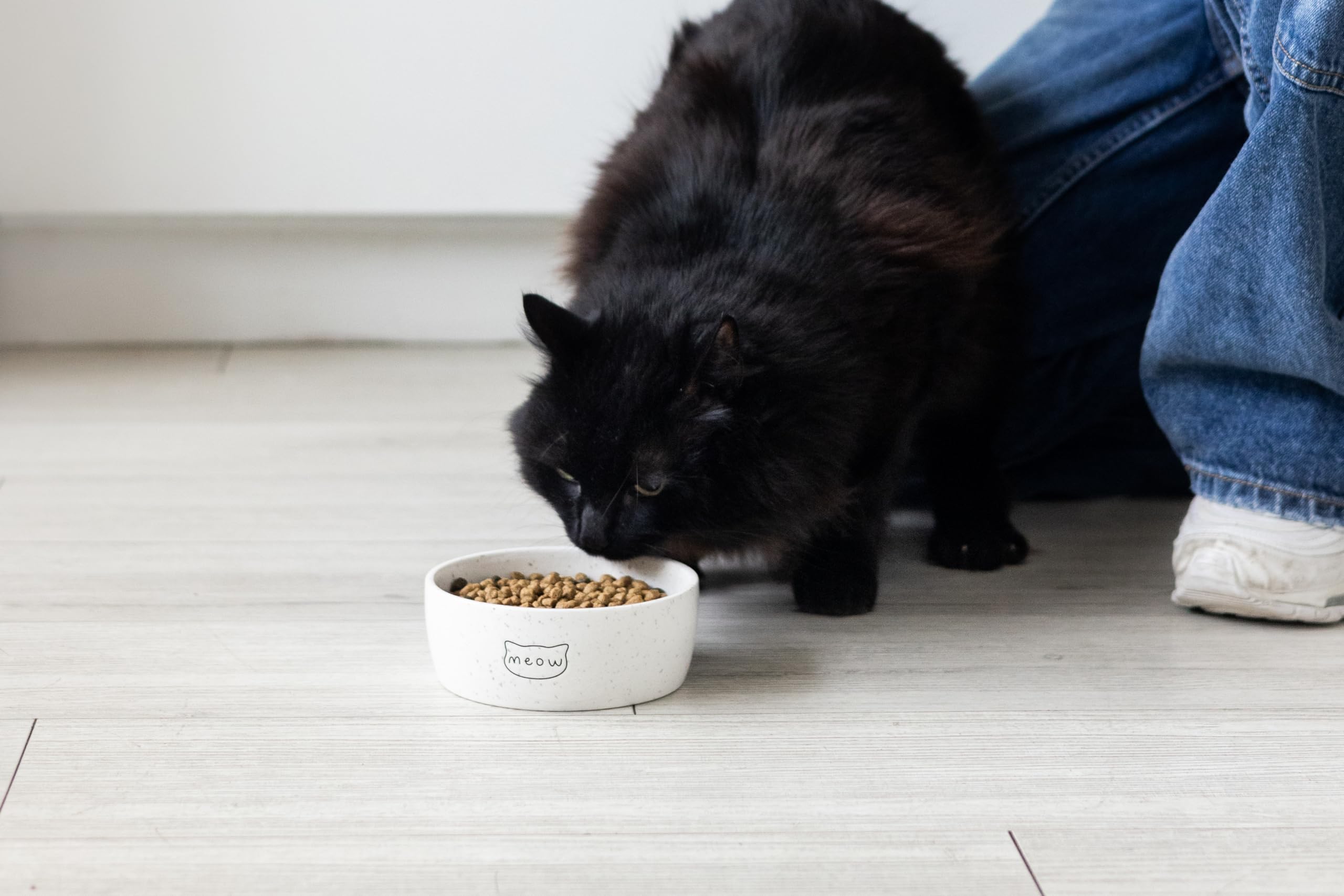 Pearhead bol chat usage eau et nourriture pour chats de tous âges.