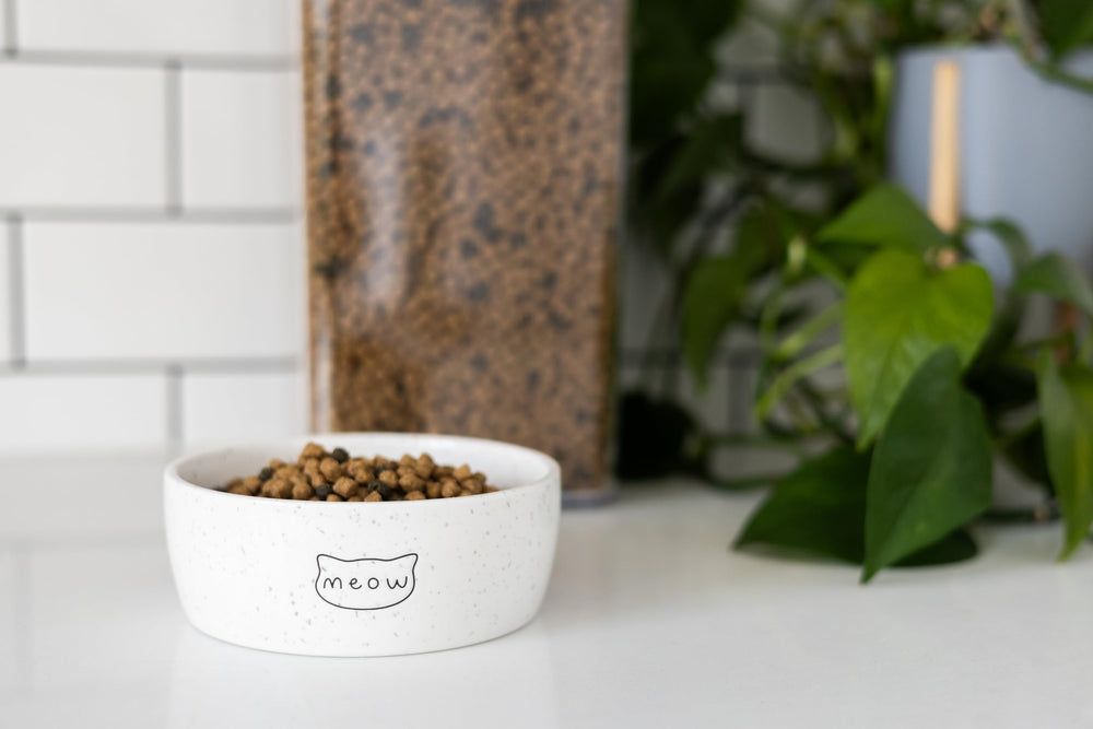 Pearhead bol chat surface stable anti glissement lors des repas.