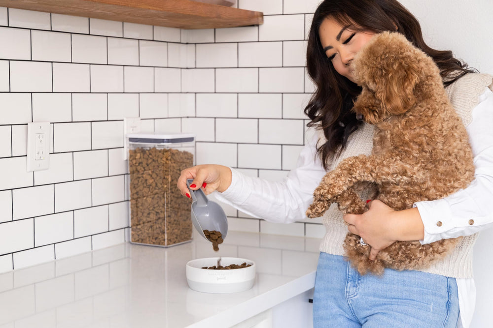 Idée cadeau idéale pour propriétaires de chiens.