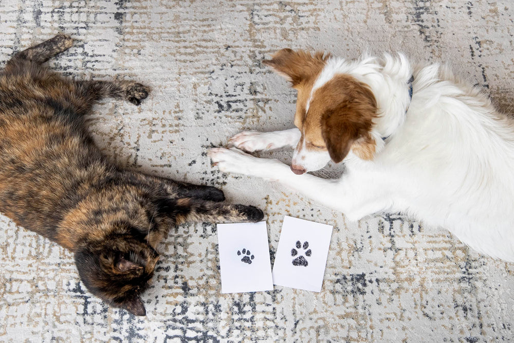 Deux cartes d’impression incluses par Pearhead pour essais.