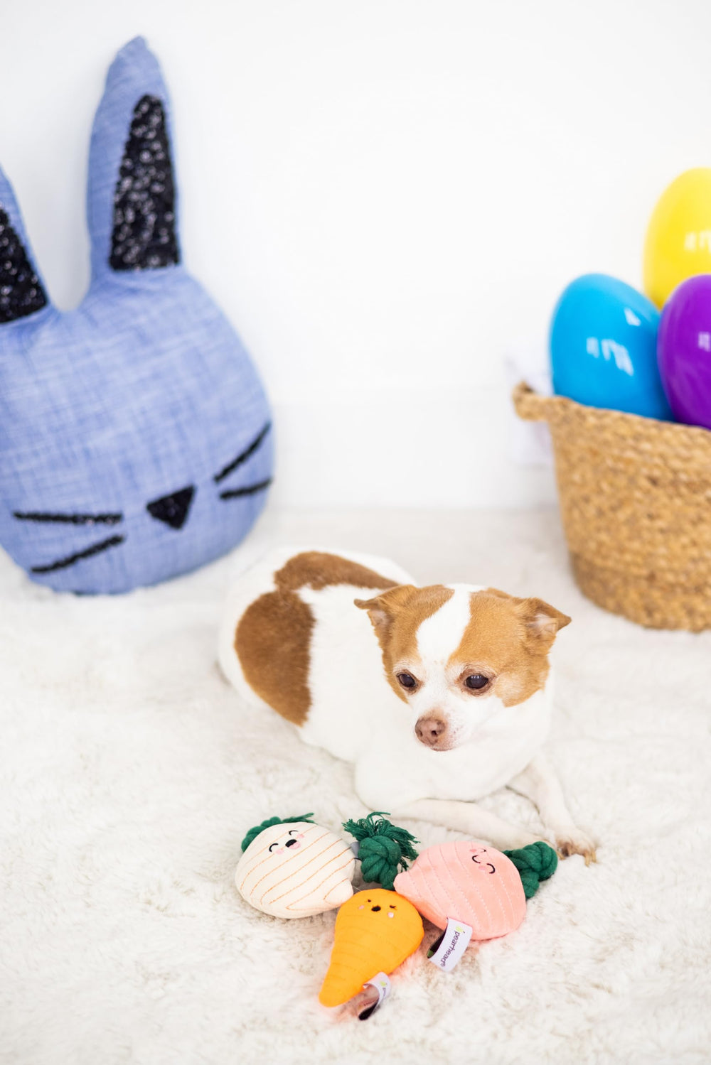 Pearhead carotte jouet chien peluche avec corde, idéal pour mordiller et jouer en douceur