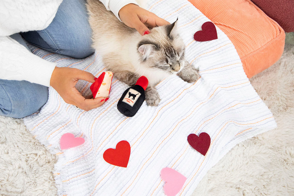 Pearhead chat fromage peluche herbe-a-chat : ensemble festif pour Saint-Valentin.