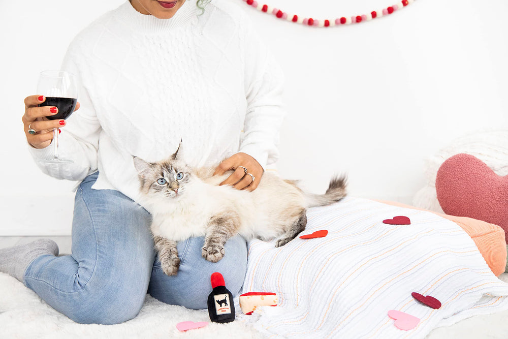 Pearhead chat herbe-a-chat joue fromage : activité intérieure stimulante.