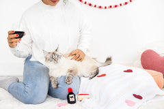 Pearhead chat herbe-a-chat joue fromage : activité intérieure stimulante.