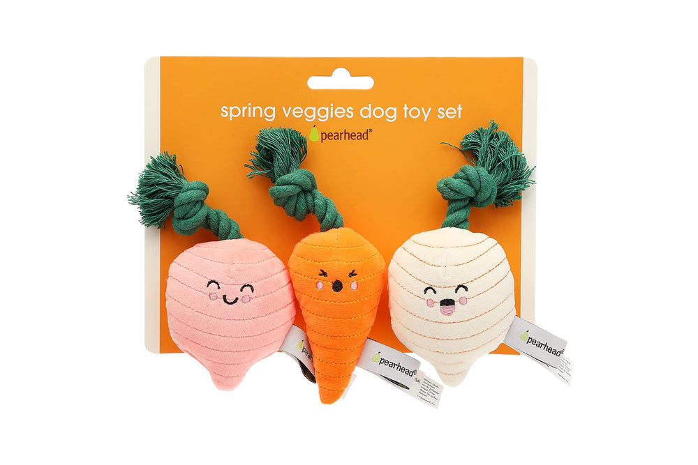 Pearhead coffret de 3 jouets légumes printanier, radis-carotte-navet pour distraction festive
