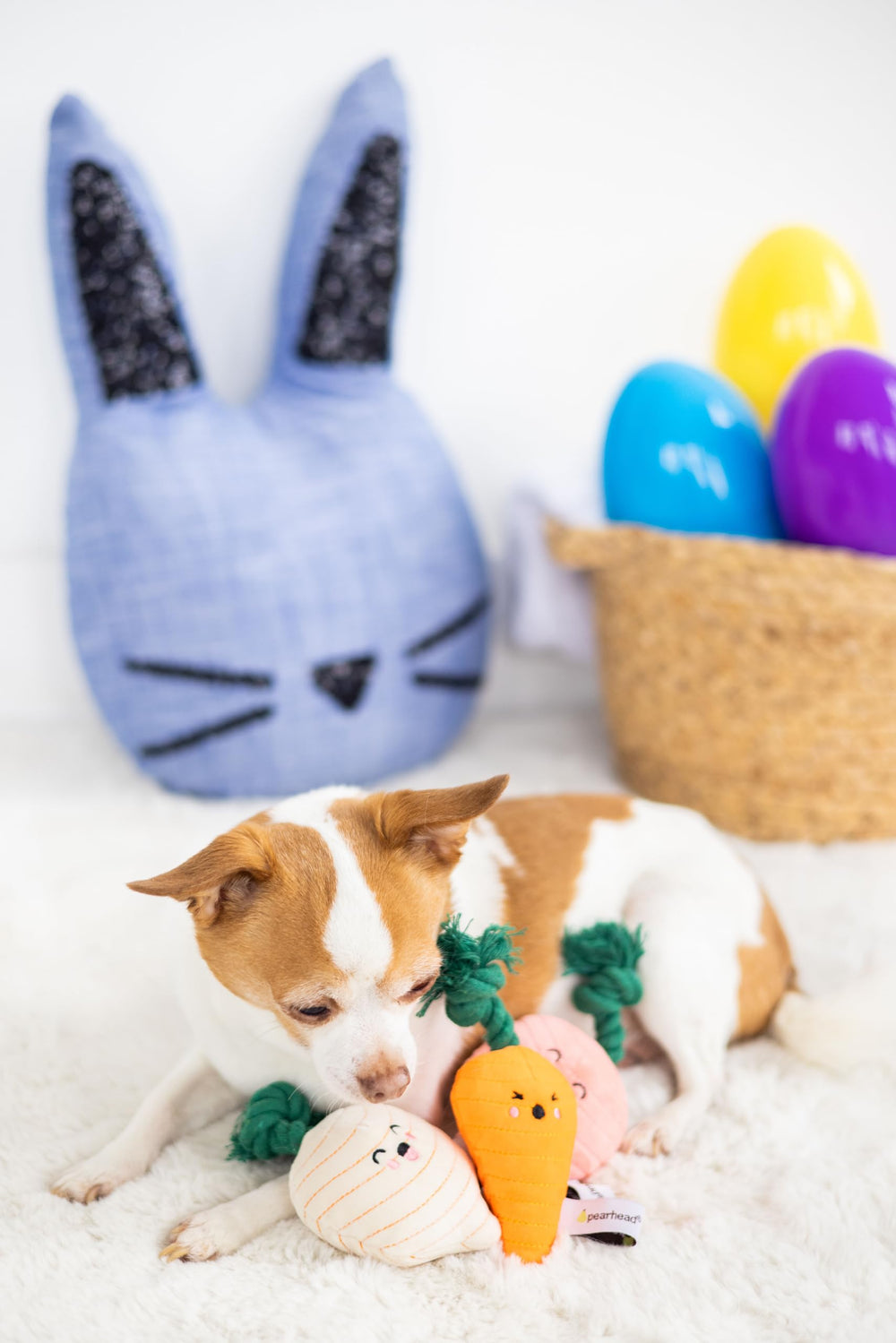 Pearhead navet jouet chien peluche avec corde, stimule l'activité et le lien humain-animal
