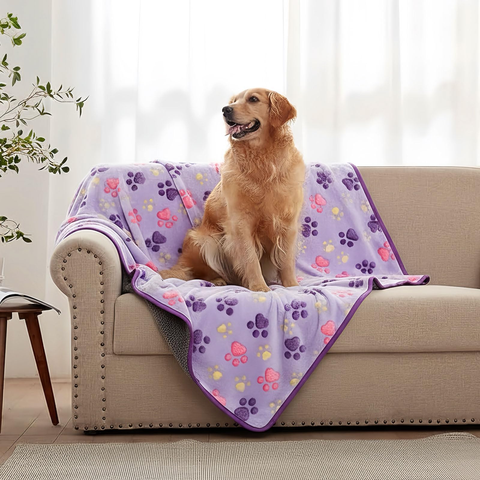 Peasug Couverture portable violet, légère pour les voyages et visites.