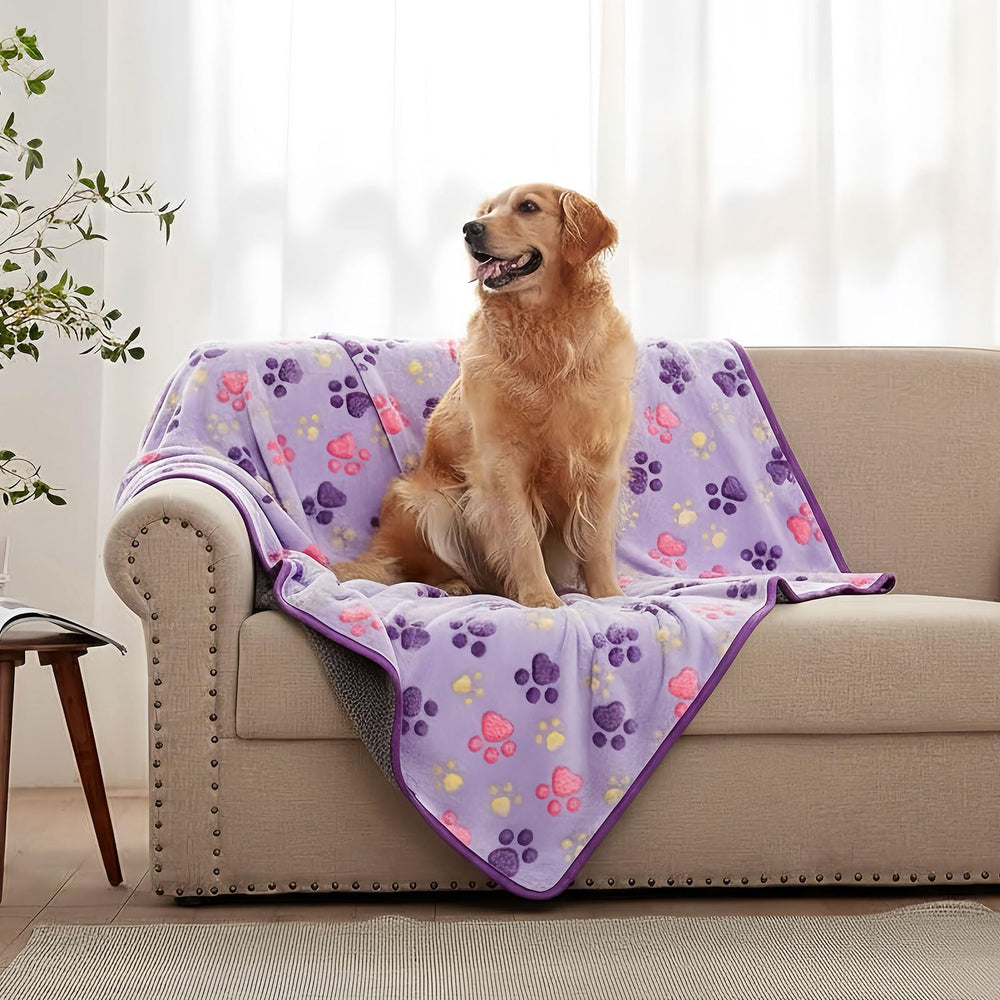 Peasug Couverture portable violet, légère pour les voyages et visites.